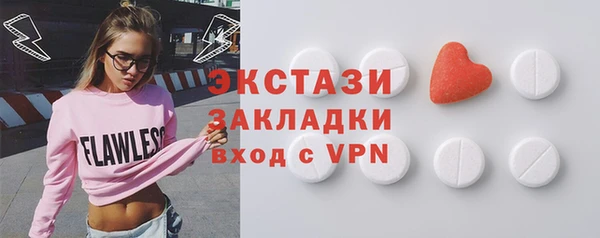 крисы Бородино
