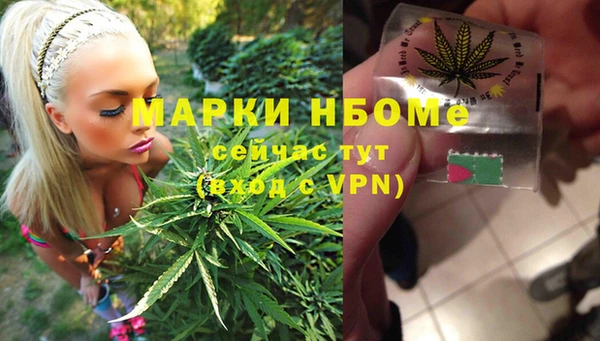 крисы Бородино