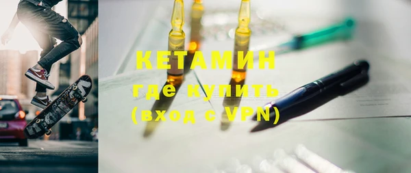 крисы Бородино
