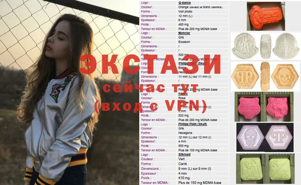 крисы Бородино