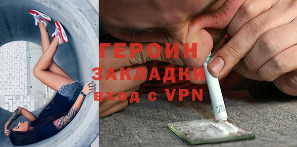 крисы Бородино