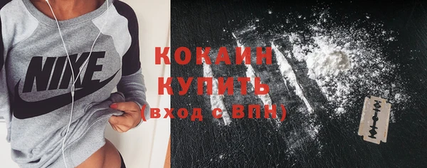 крисы Бородино