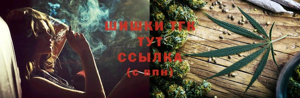 сатива Богородск