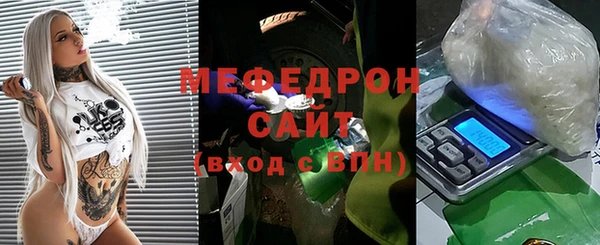крисы Бородино
