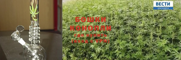 прущая мука Богданович