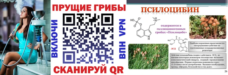 Галлюциногенные грибы мухоморы  где купить наркоту  Дигора 