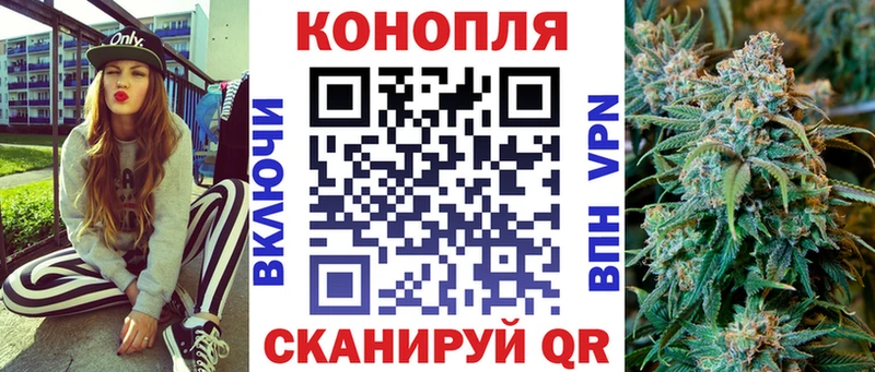 Канабис план  где продают наркотики  Дигора 
